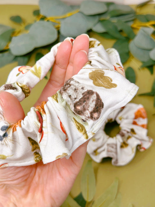 Guinea pig scrunchy