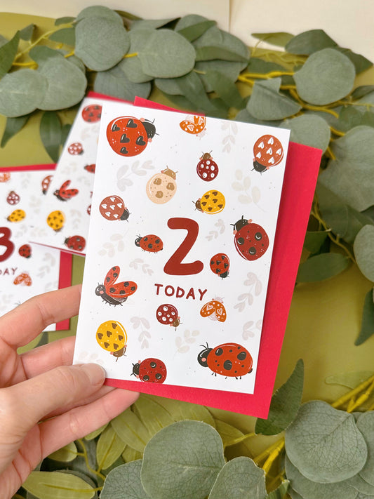 Lady Bird 2 Birthday Card