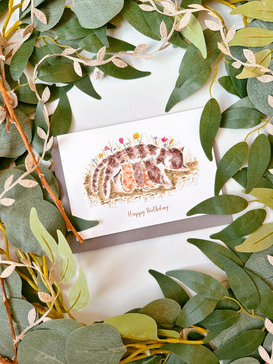 Cat Birthday Card