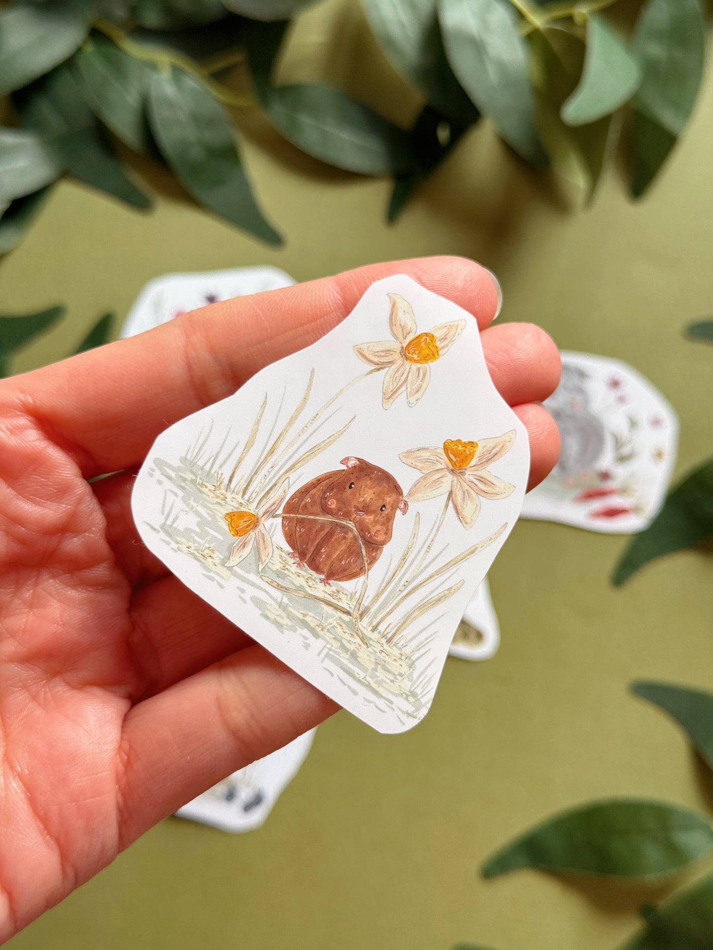 Guinea Pig Sticker