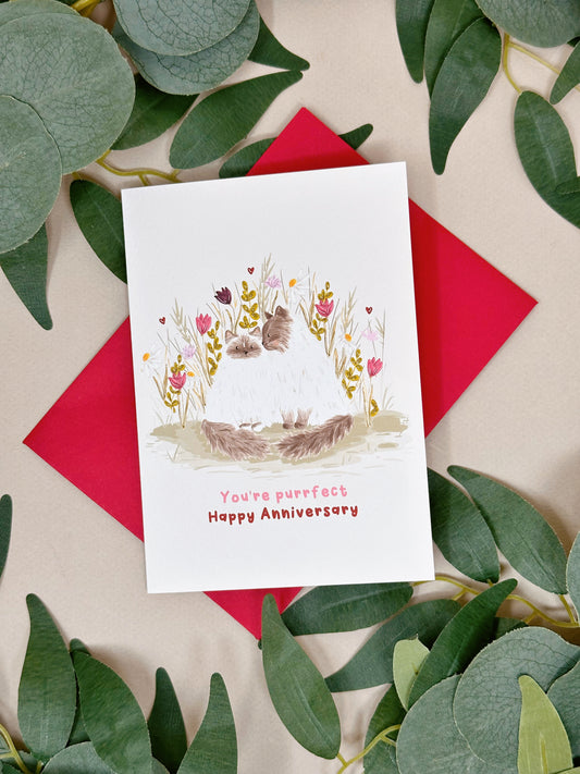 Cat wedding anniversary card