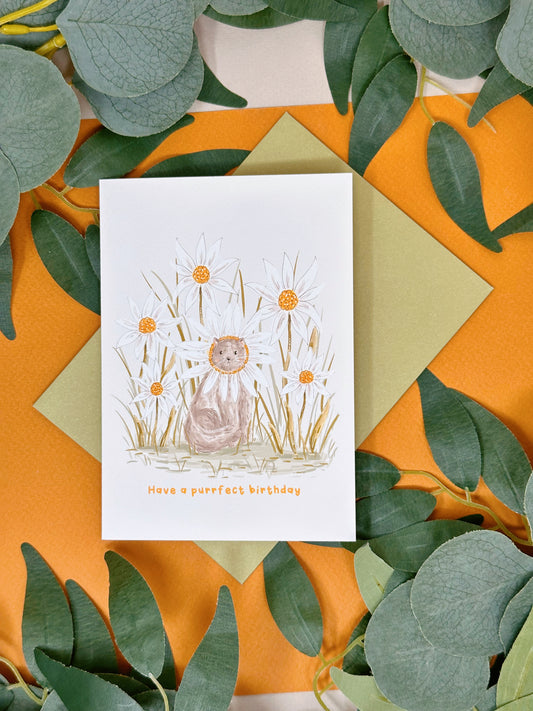 Daisy cat birthday card