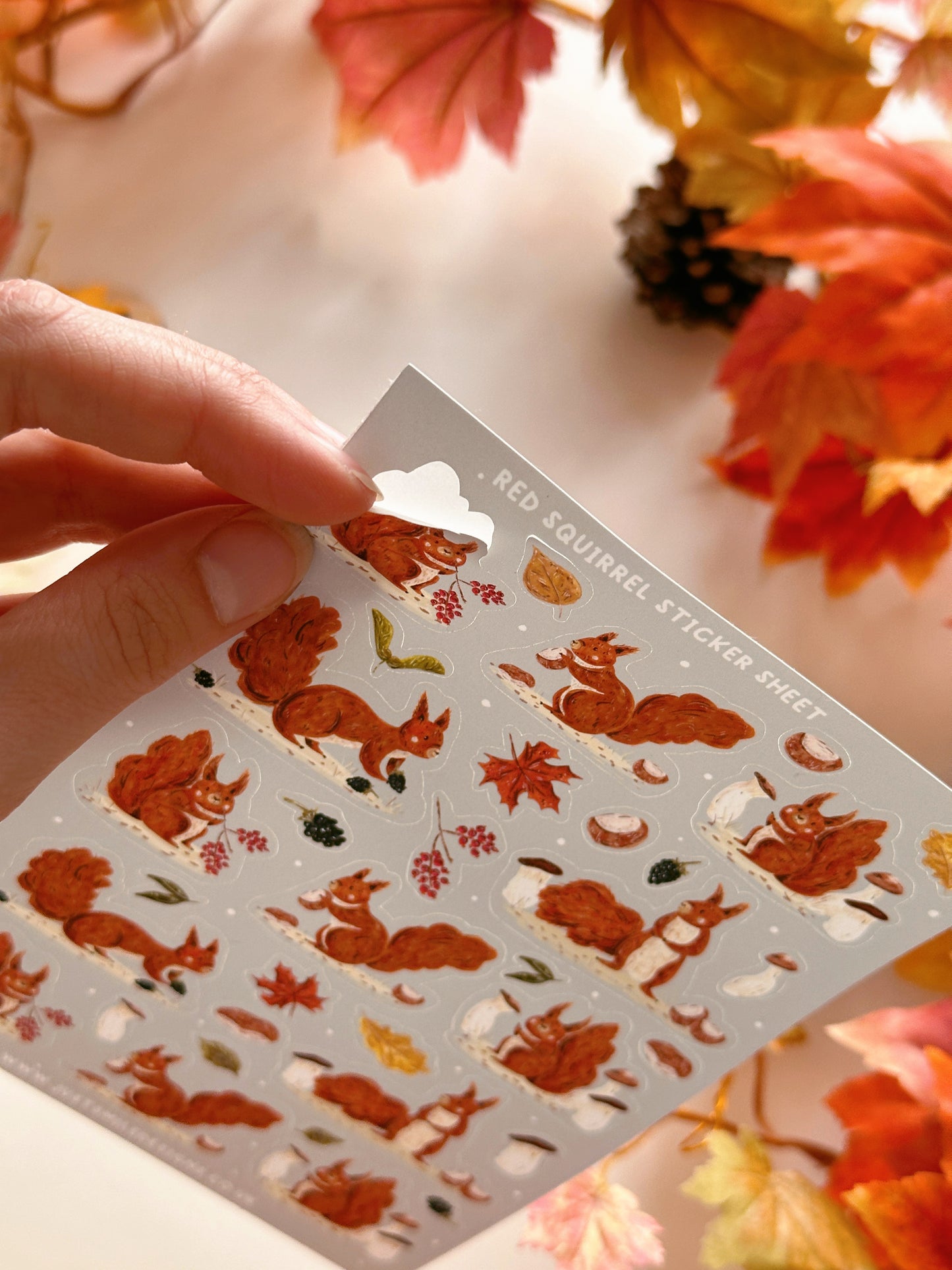 Autumn Squirrel Sticker Sheet
