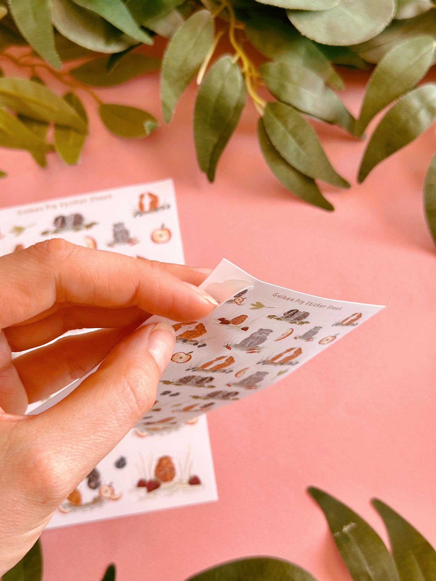 Guinea Pig Sticker Sheet