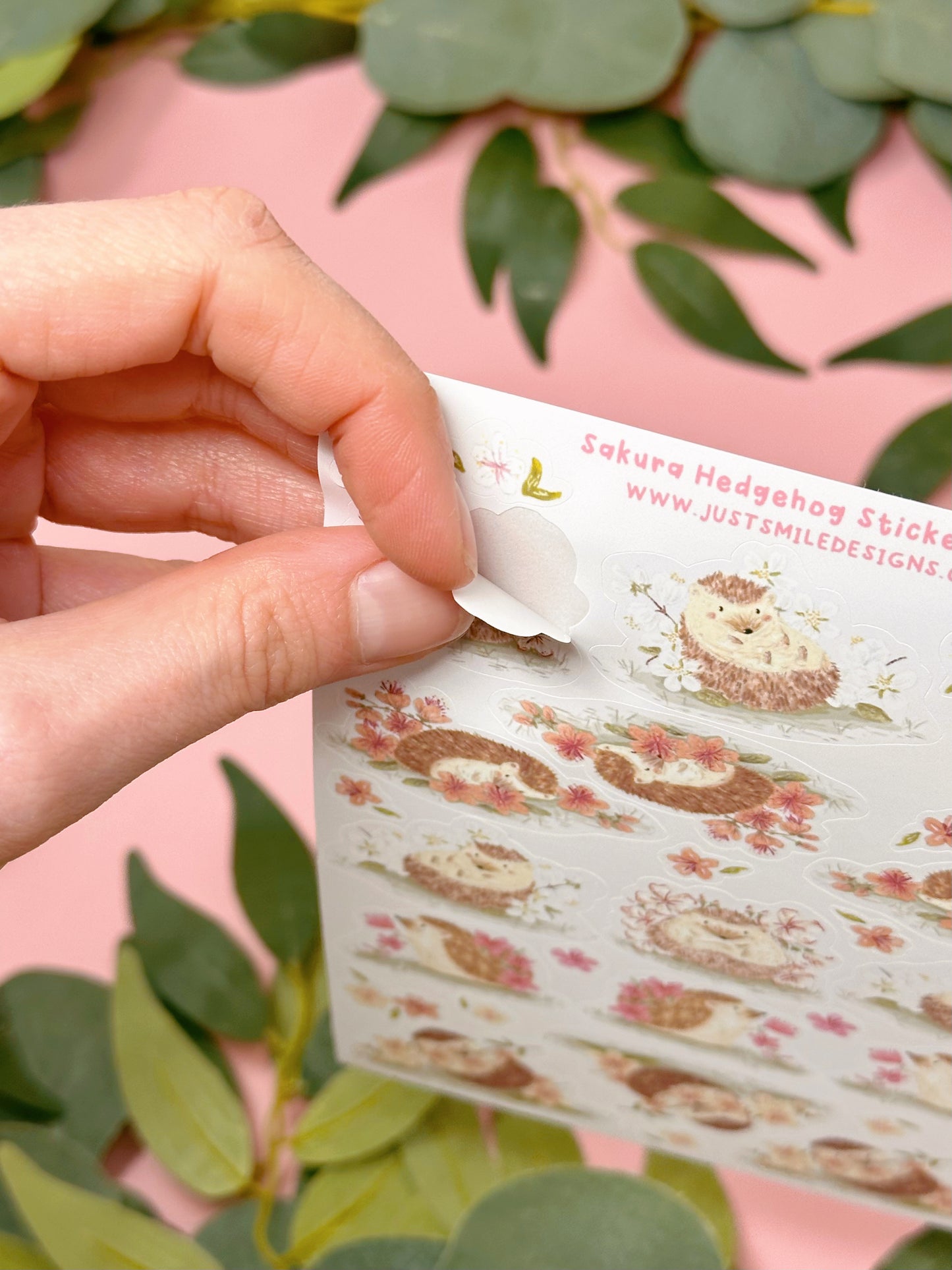 Sakura Hedgehog Sticker Sheet