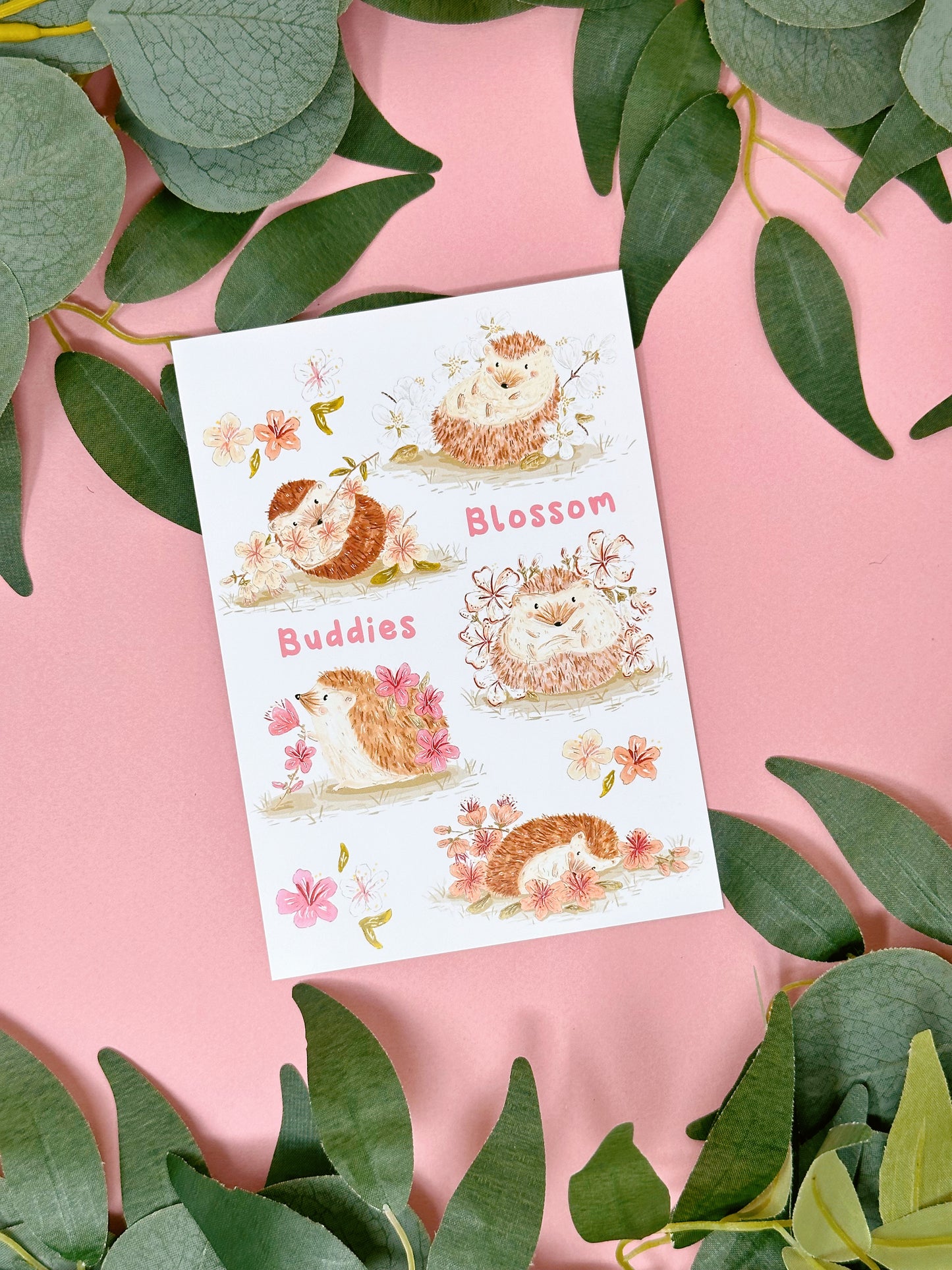 Sakura Hedgehog Postcard