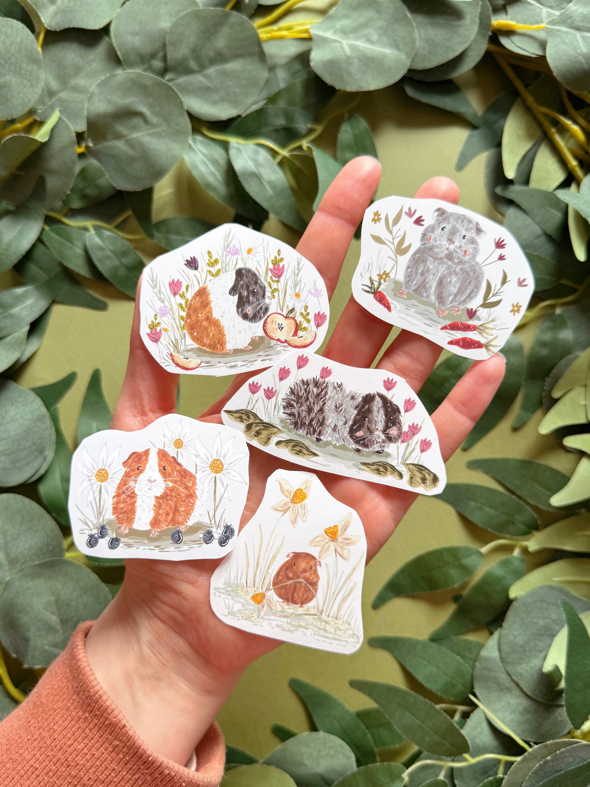 Guinea pig sticker