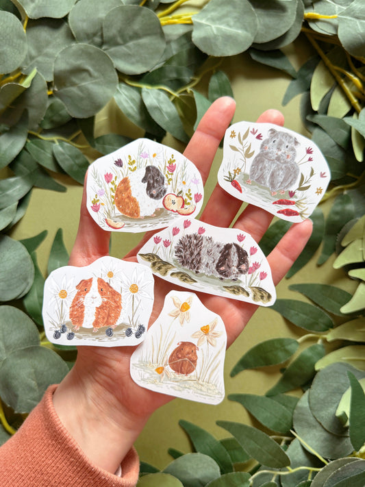 Guinea pig sticker