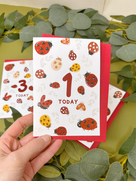 Lady Bird 1 Birthday Card