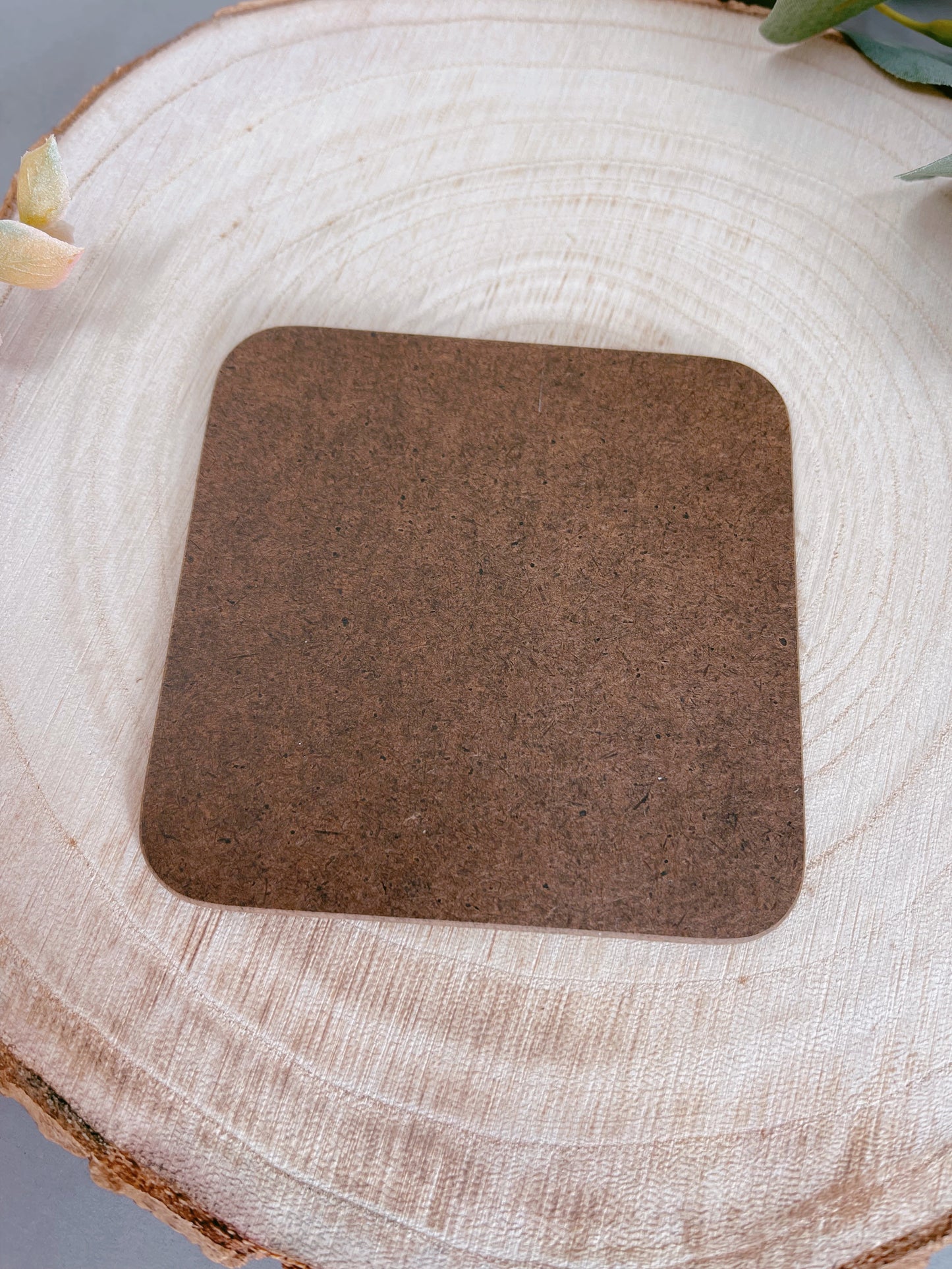 Red Panda Sitting Coaster