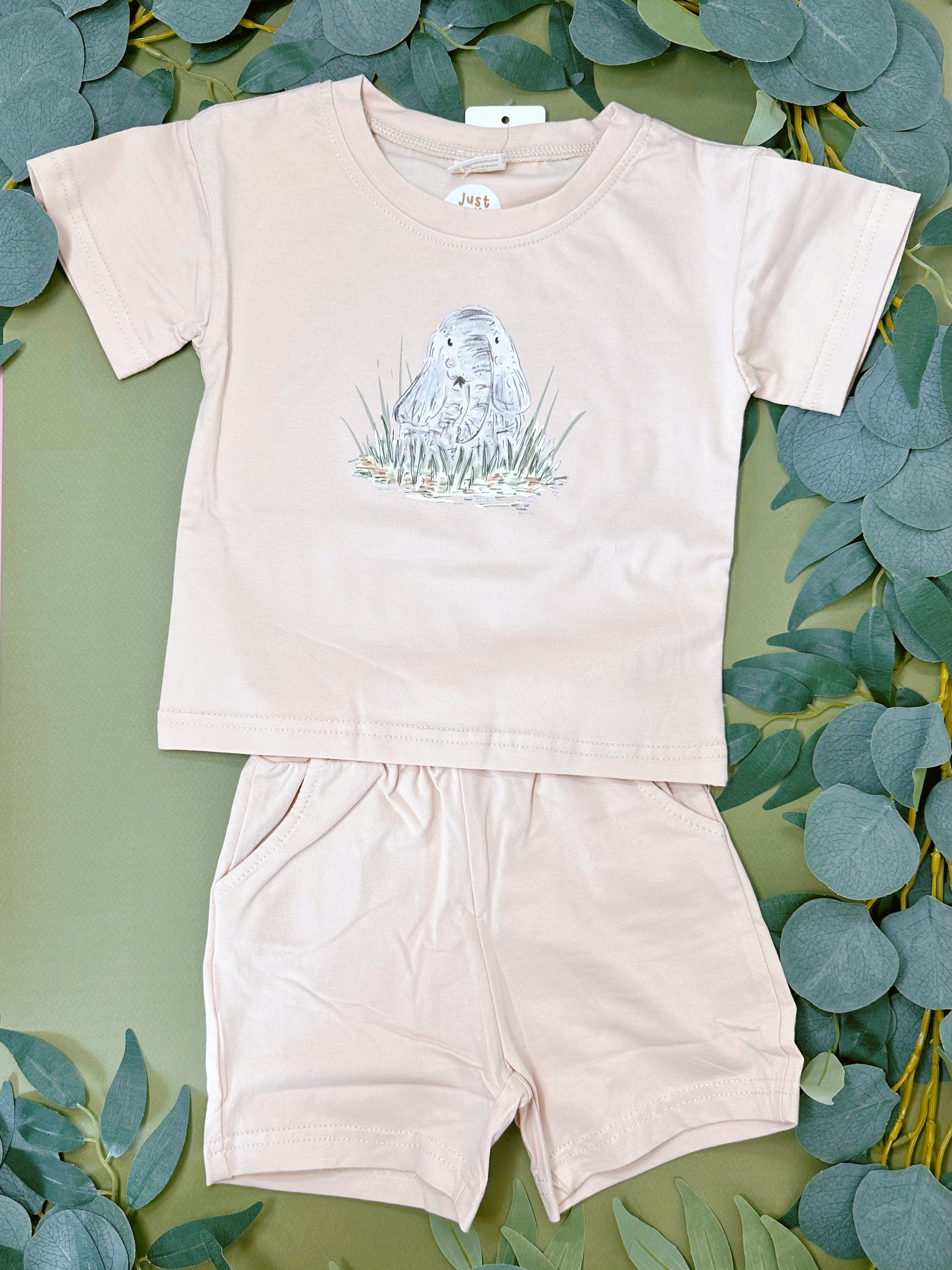 Elephant shorts and tshirt set