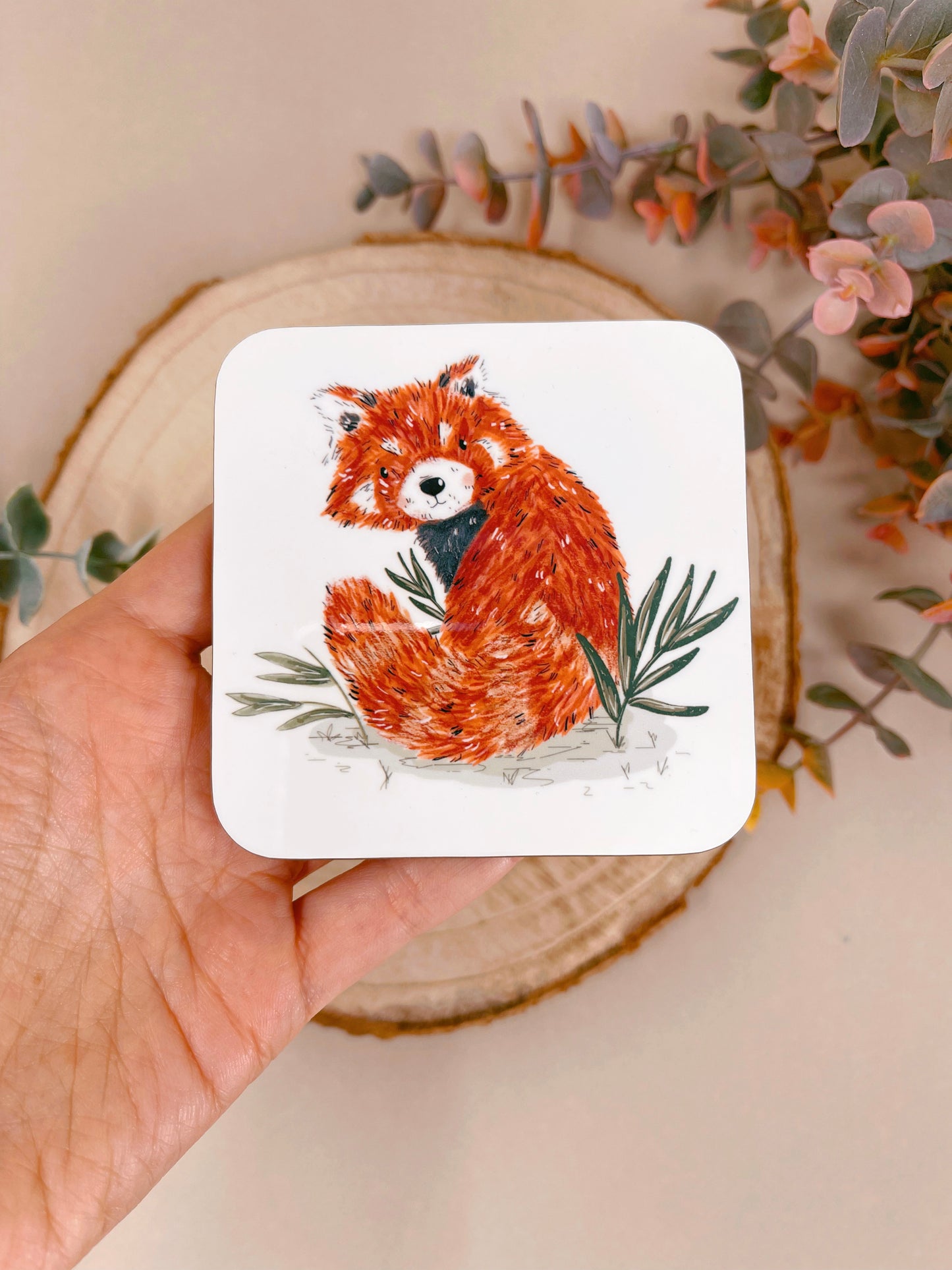 Red Panda Sitting Coaster