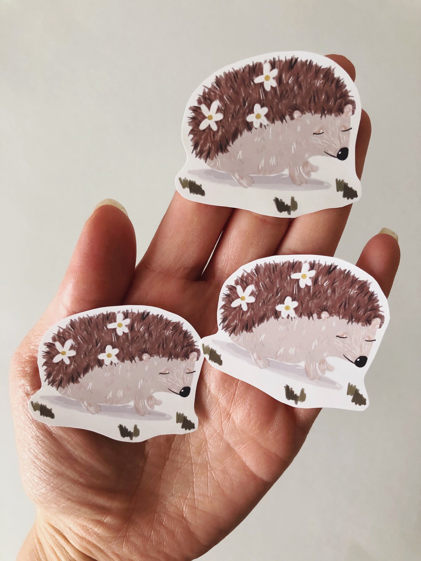 Hedgehog Floral Sticker