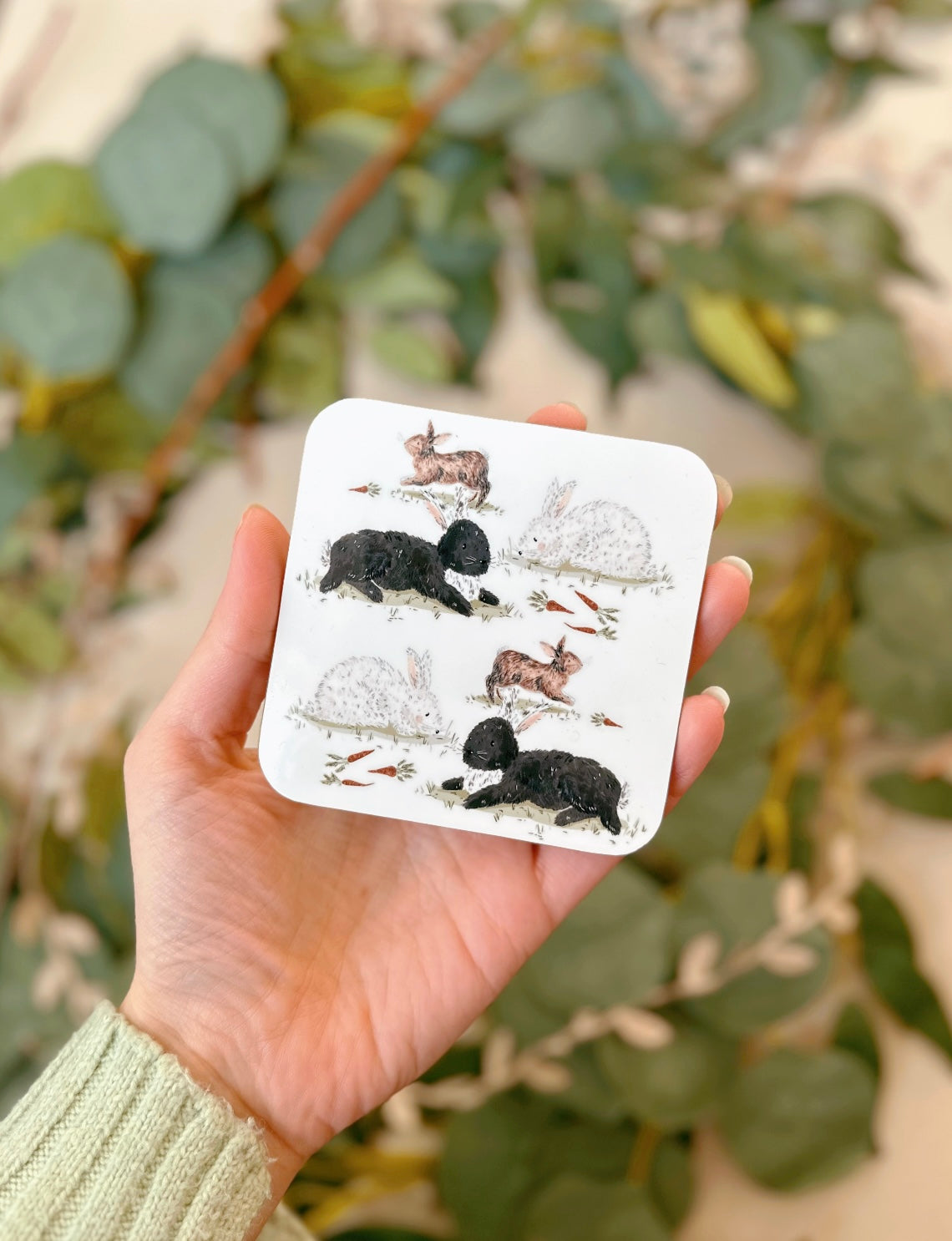 Rabbit Coaster