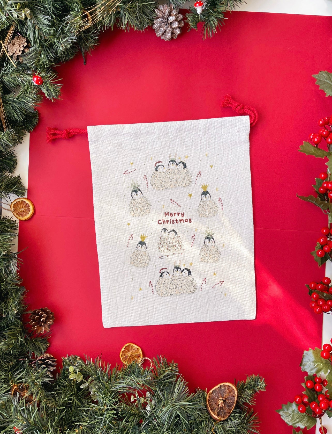 Santa Sack - Penguin