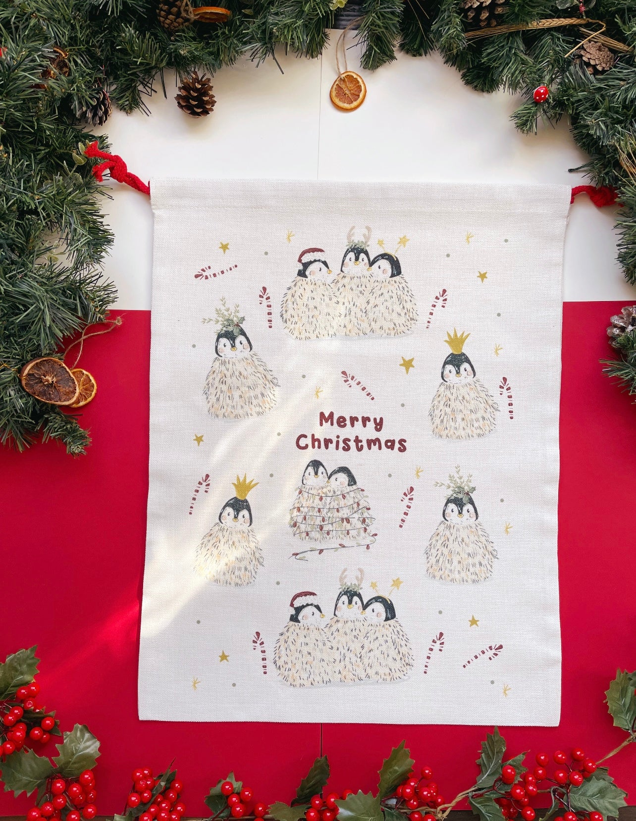 Santa Sack - Penguin