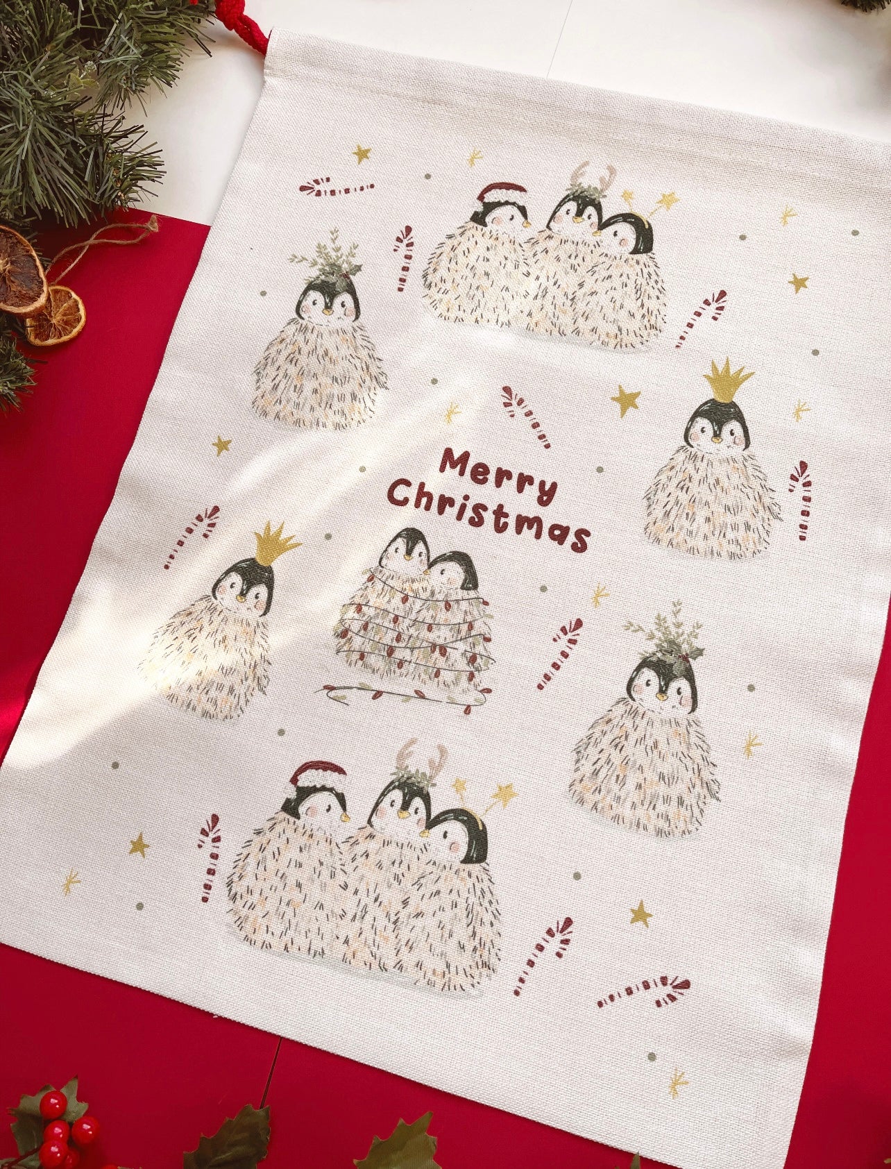 Santa Sack - Penguin