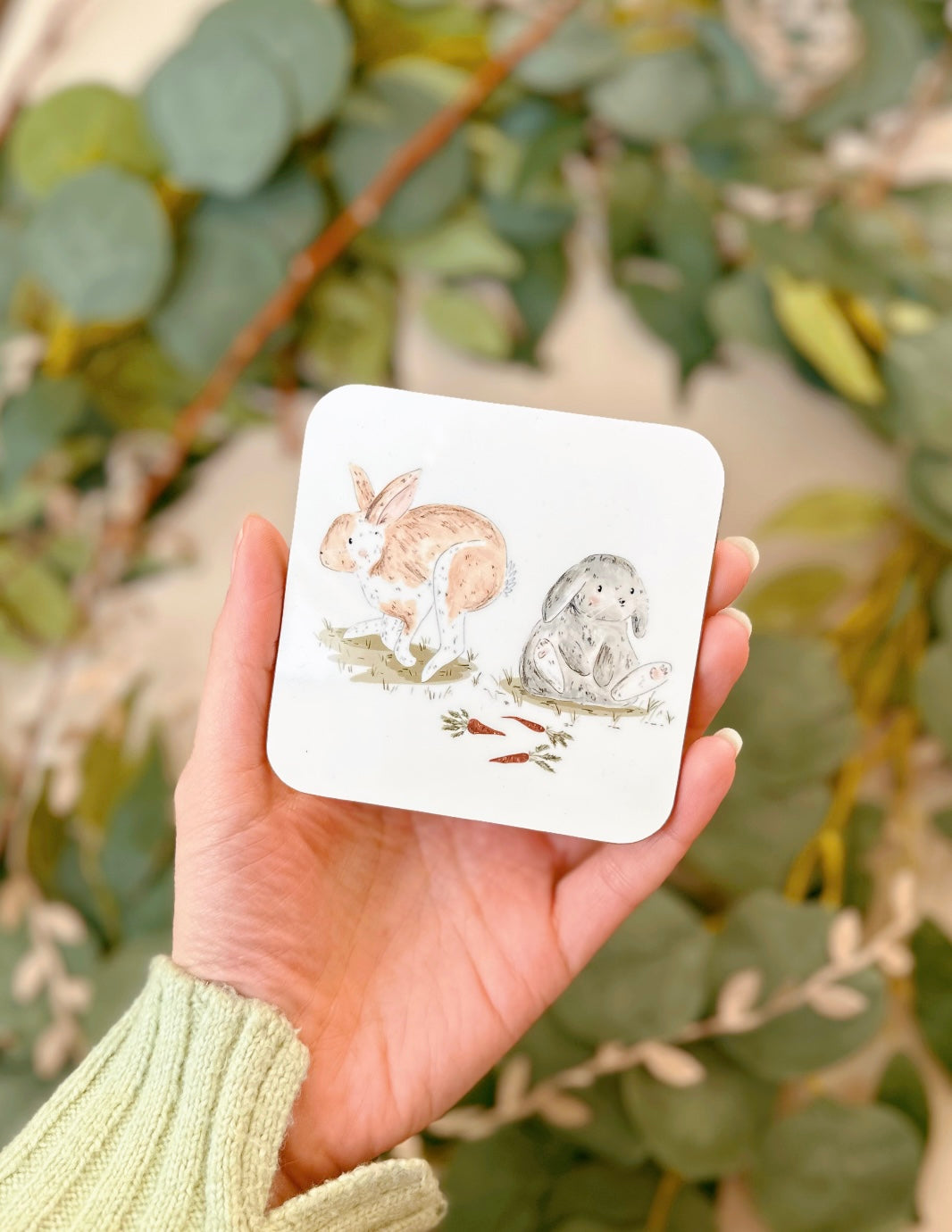 Rabbit Coaster