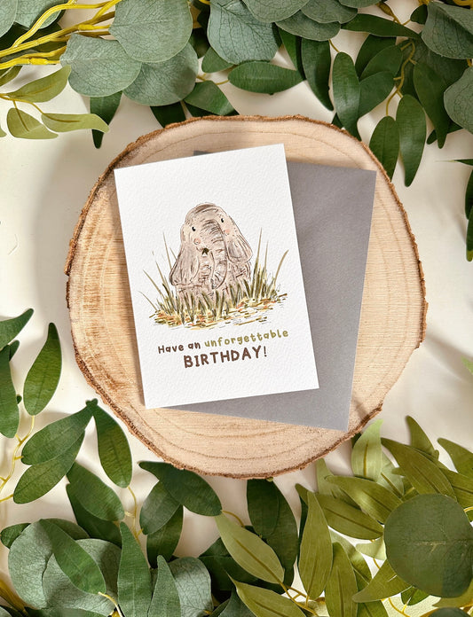 Elephant Birthday Card