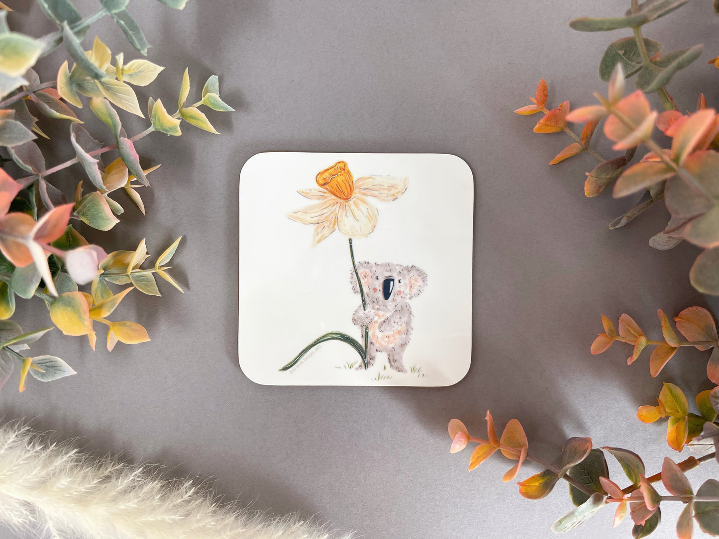 Koala Daffodil Coaster