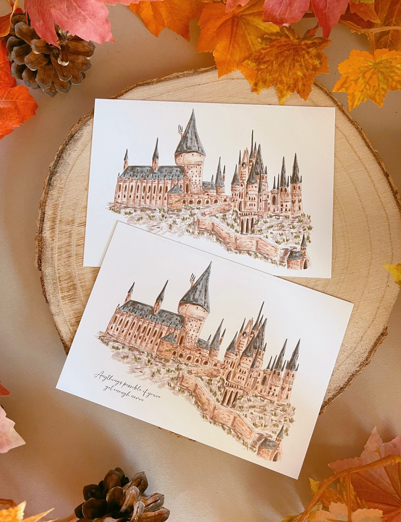 Hogwarts Castle Postcard