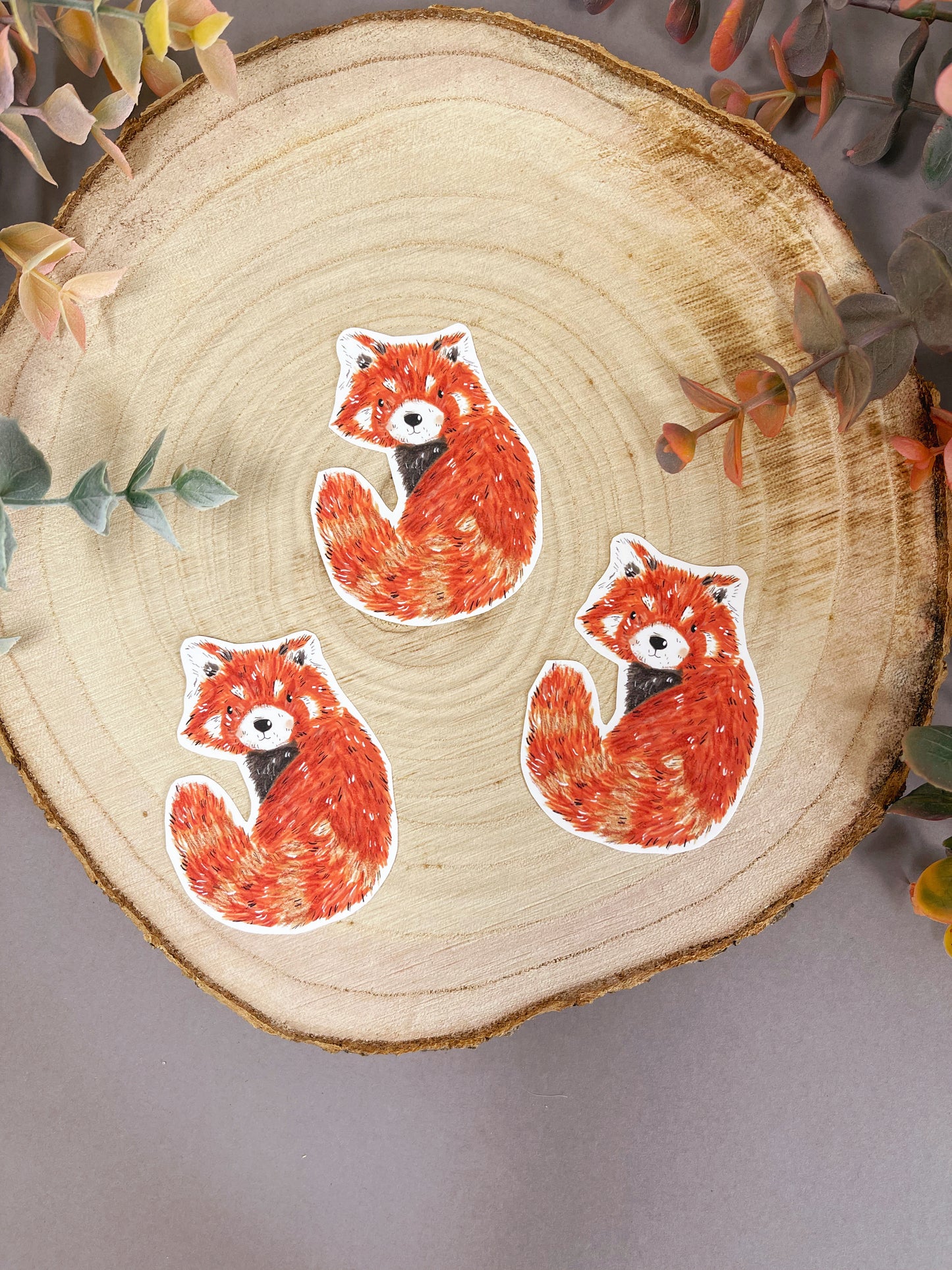 Red Panda Sticker