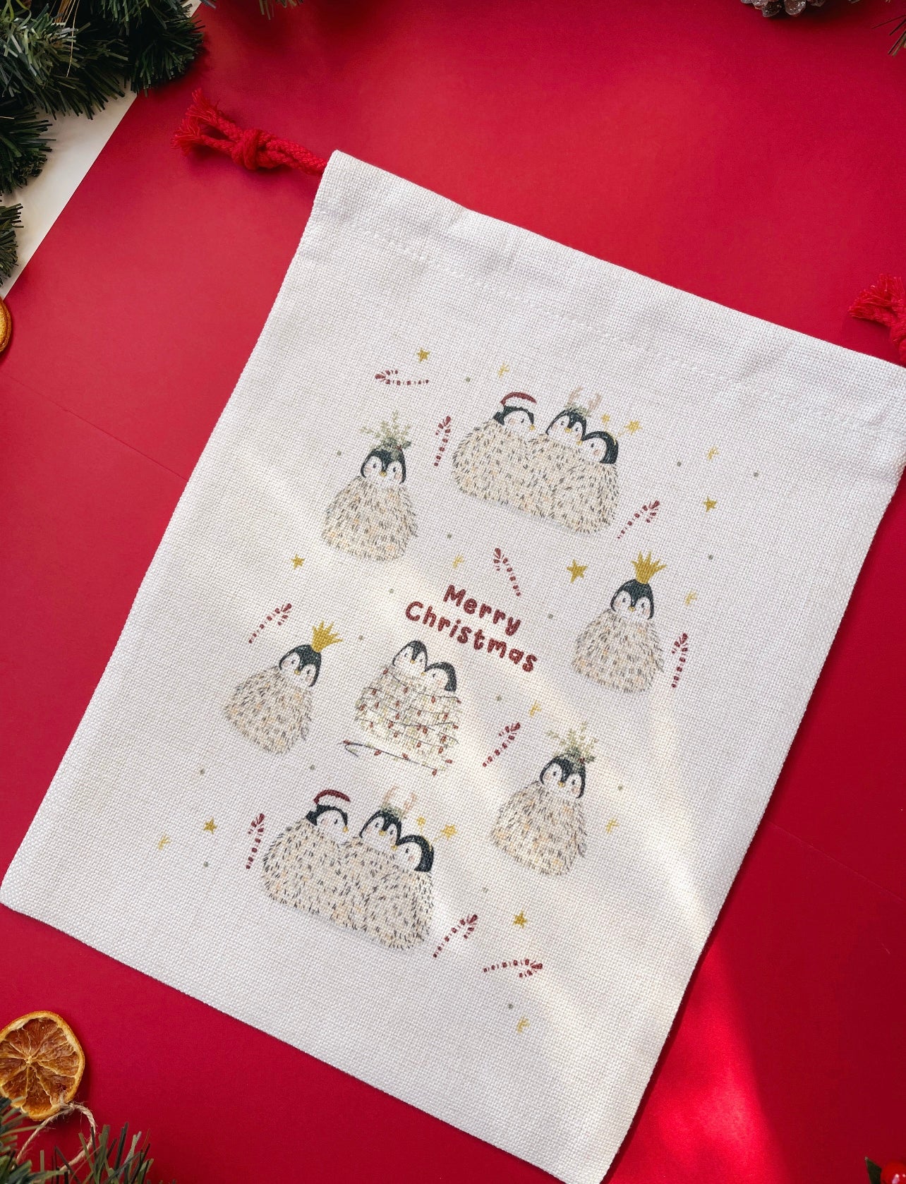 Santa Sack - Penguin