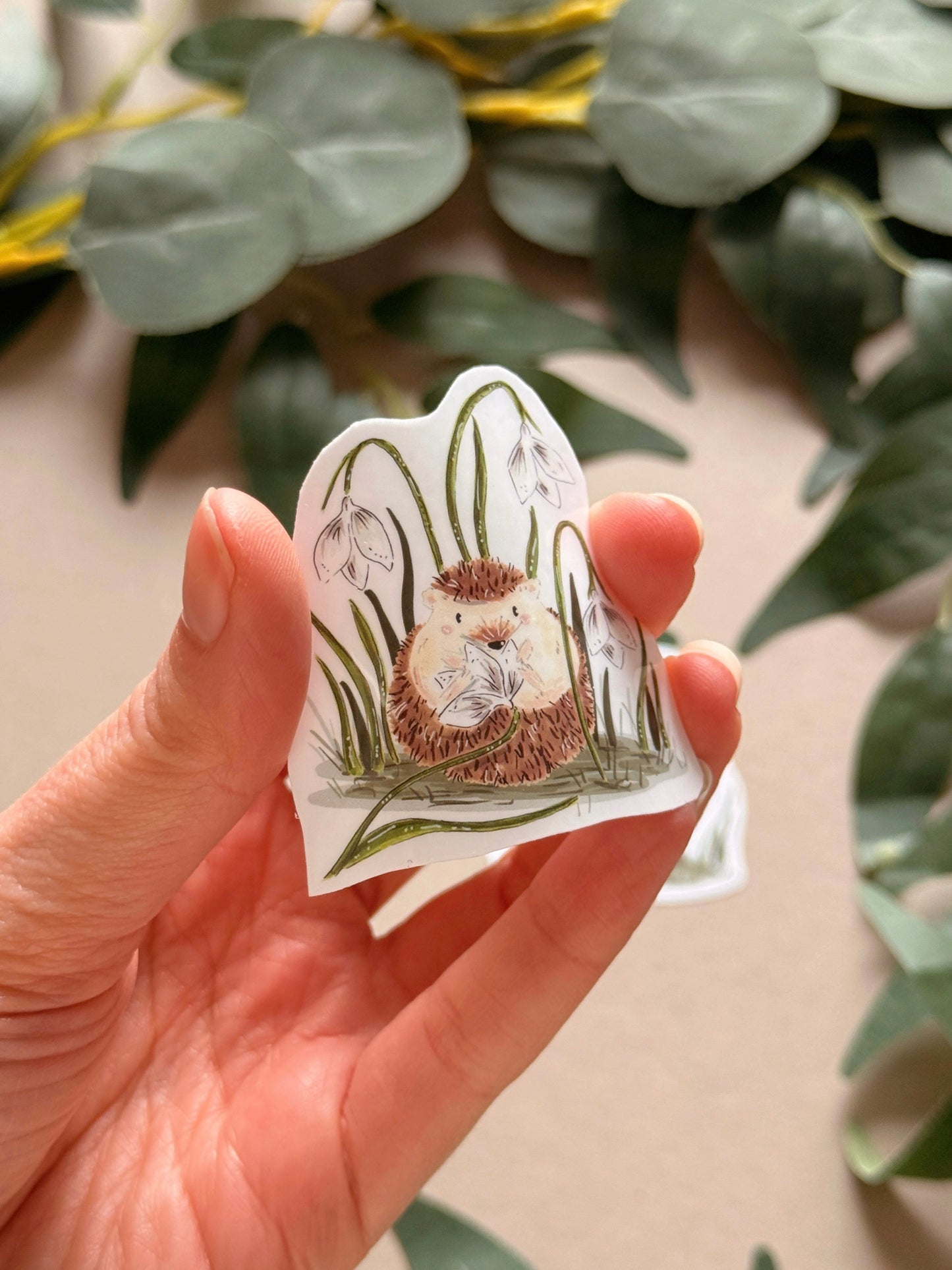 Snowdrop Hedgehog Sticker