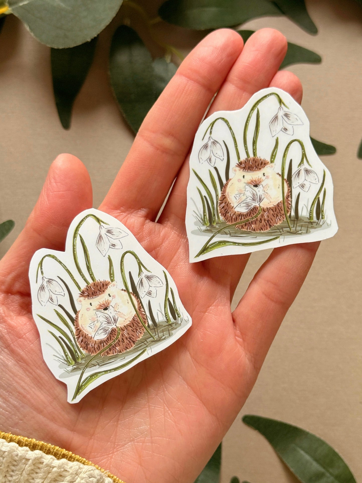 Snowdrop Hedgehog Sticker