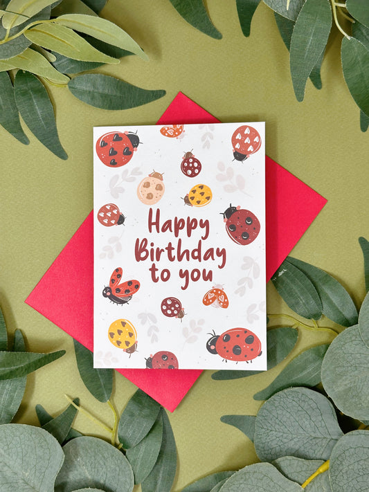 Ladybird Birthday Card