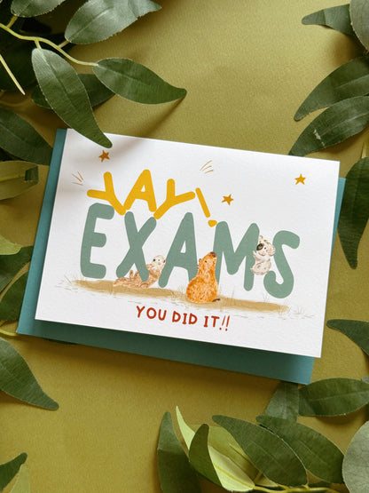 EXAM Card