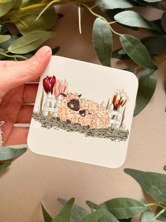 Lambs Coaster