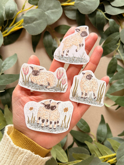 Lamb Sticker