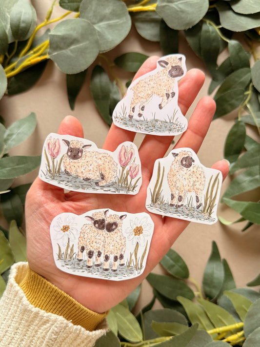 Lamb Sticker