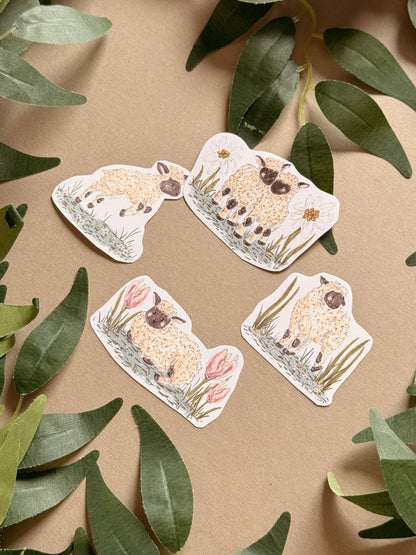 Lamb Sticker