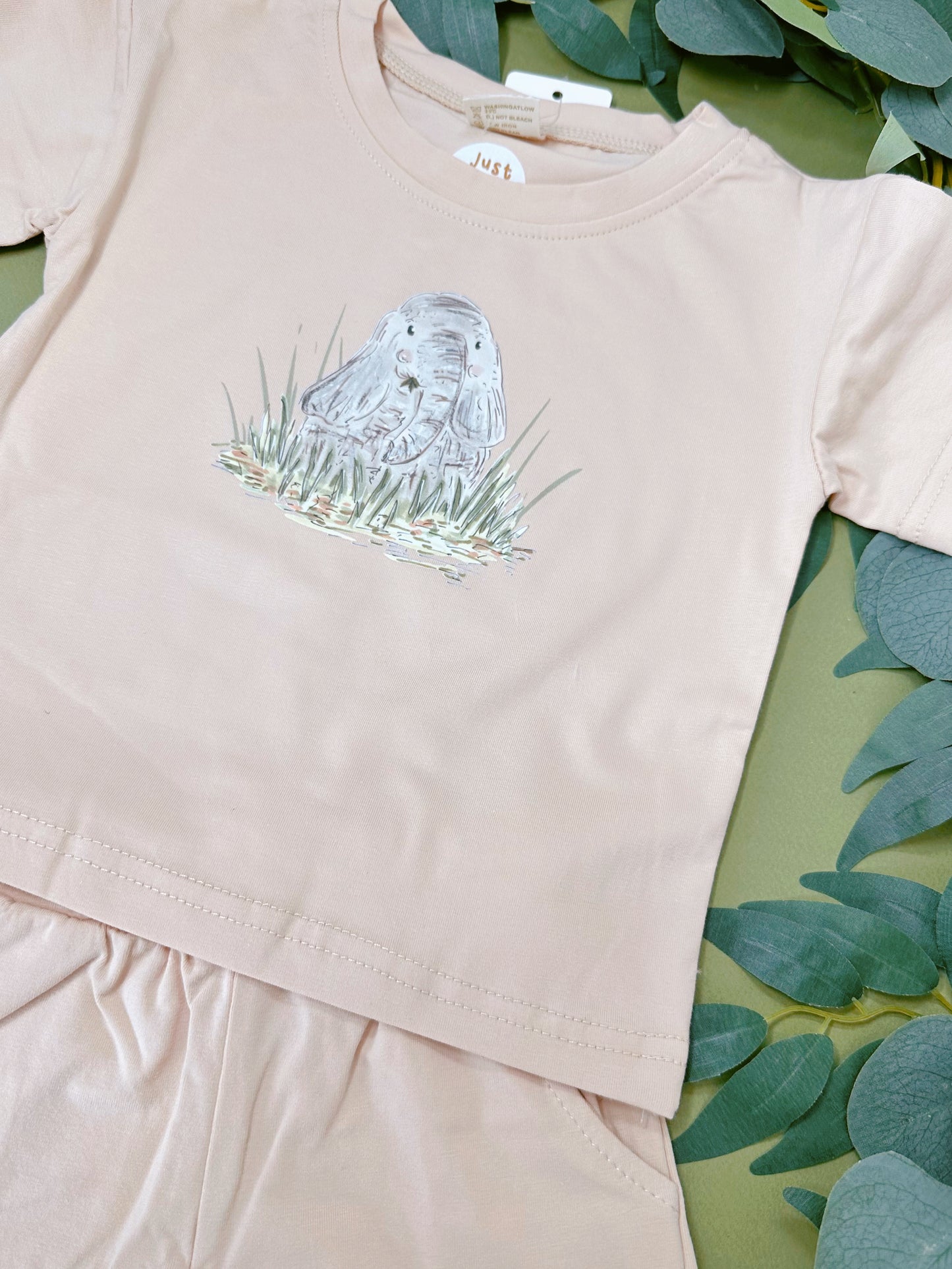 Elephant Short and Tee Set