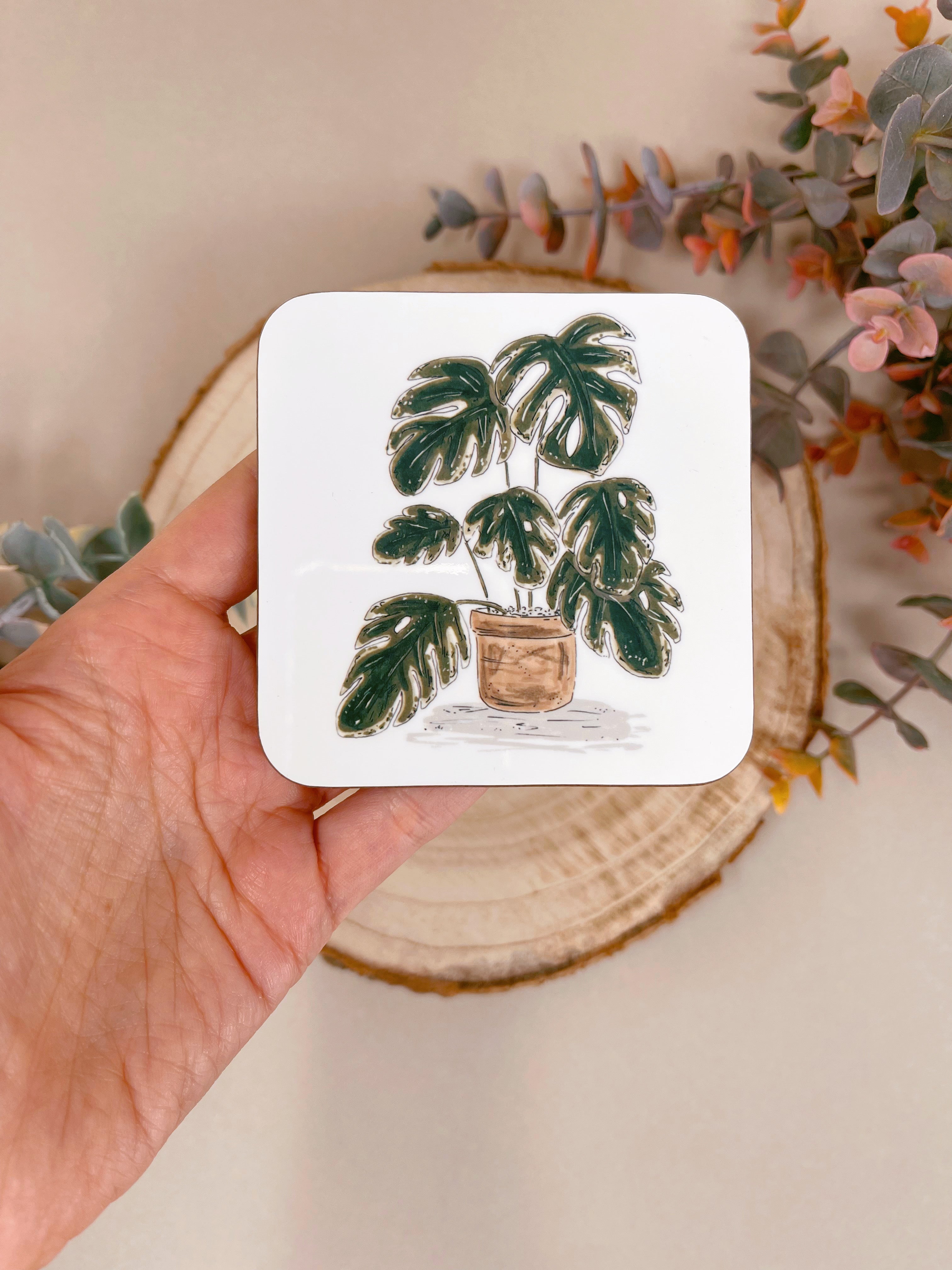 Plant outlets Coasters