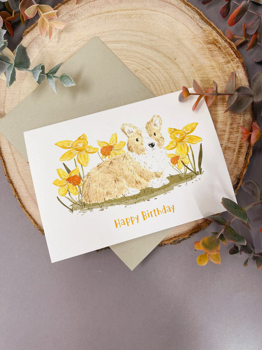 Corgi Daffodil Birthday Card