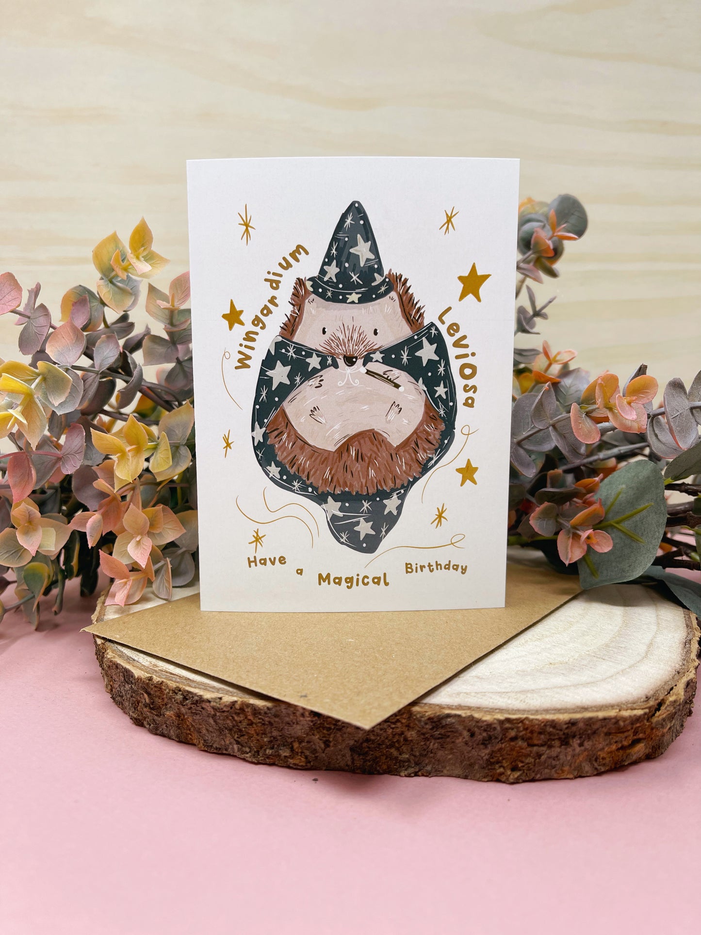 Wizard Hedgehog Birthday Card