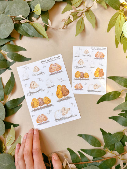 Cute Chicks Sticker Sheet